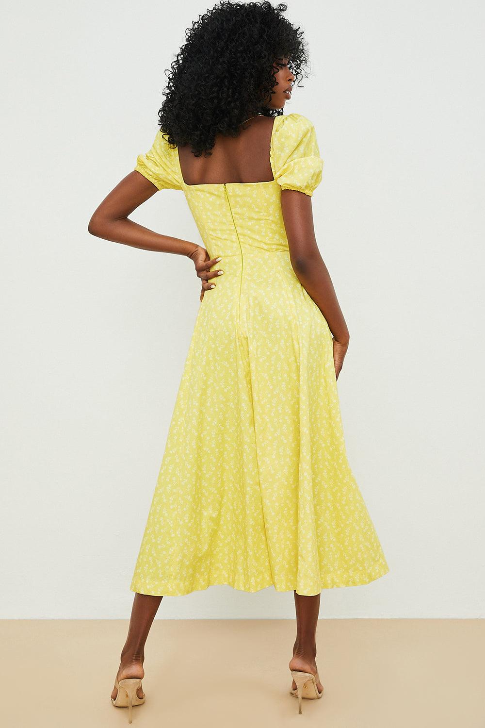Floral Corset Midi Dress
